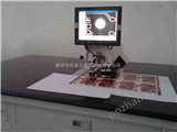 NSE02销售印后菲林-胶片-底片-相纸等材料自动打孔机/自动打靶机/自动冲孔机